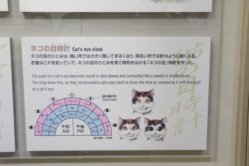 20150227-20-009 - Cat's Eye Trick